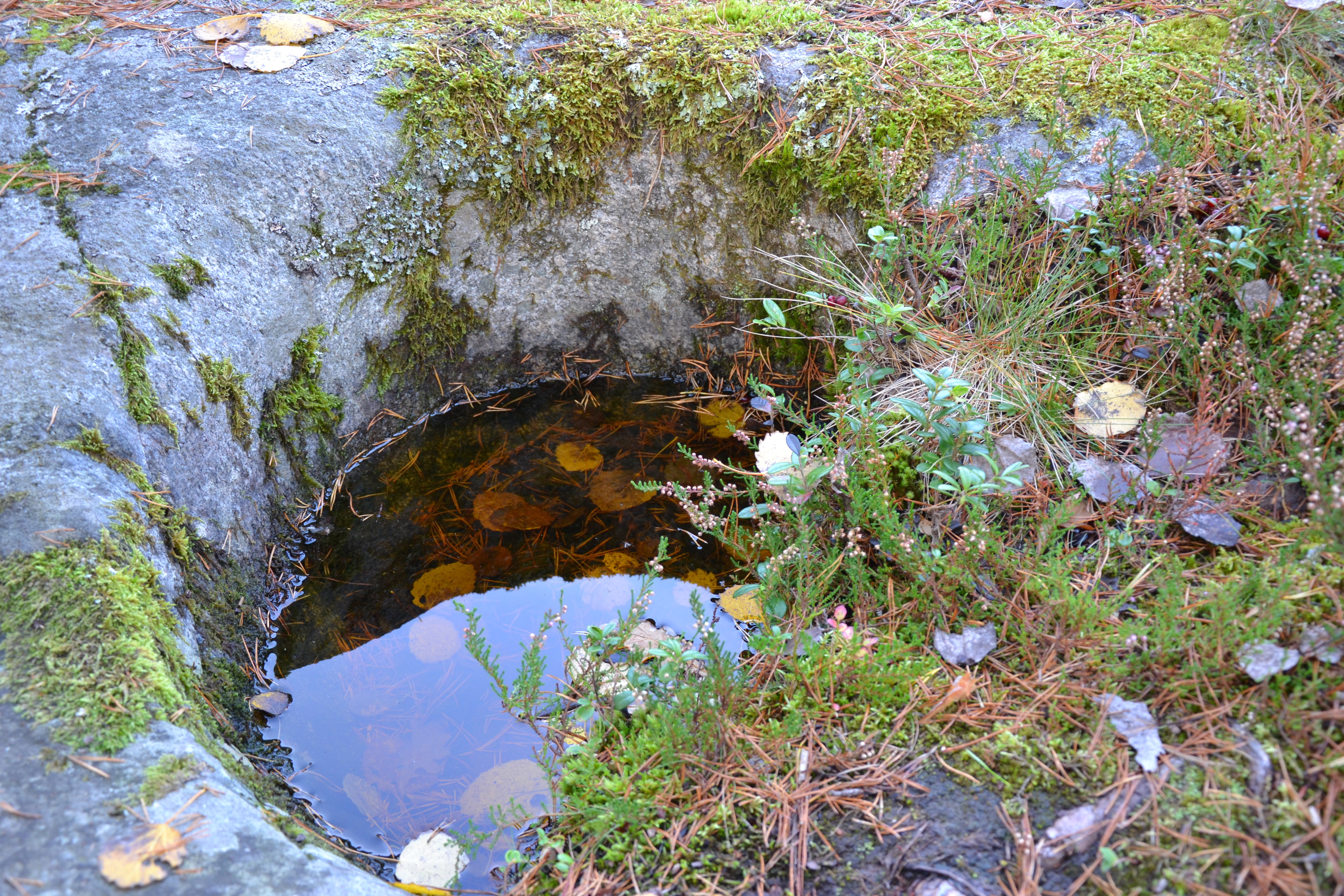 "Jättegryta" vid Kättiltäppan