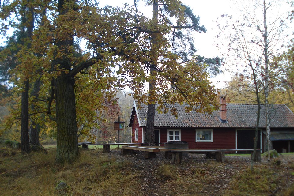 Ett hus med en grillplats bredvid är omgiven av skog.