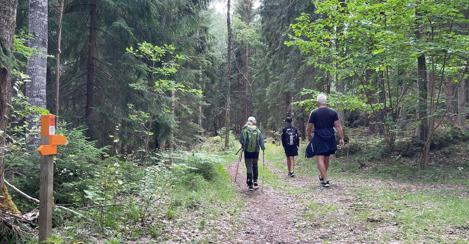 Skogsväg
Etapp: Sätravallen-Vårdnäs
Linköping