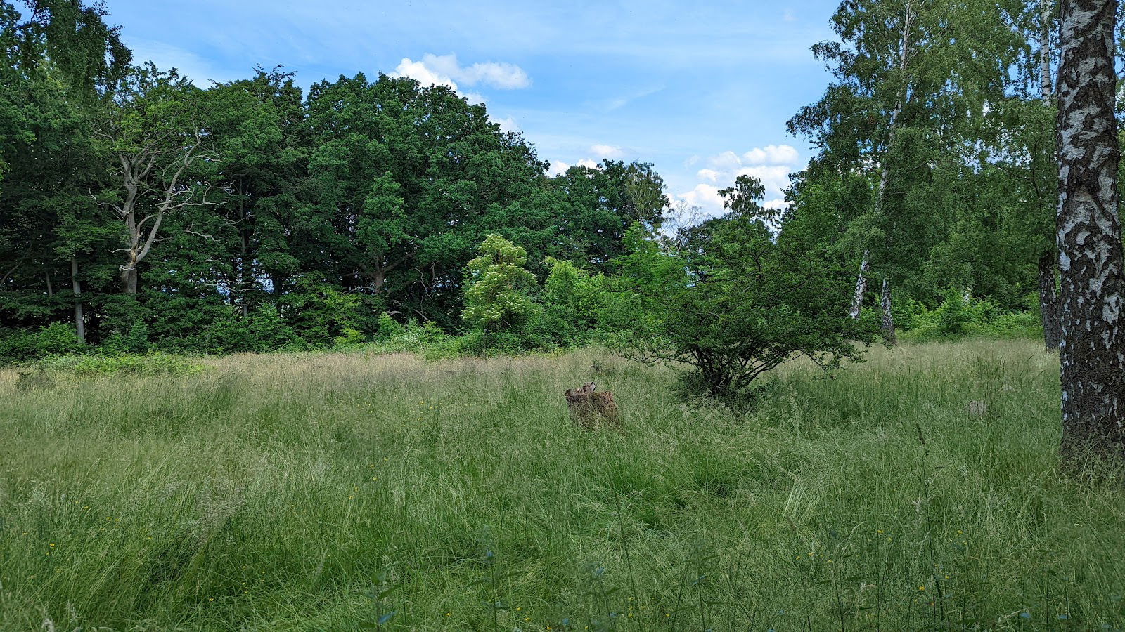 Kalvahagen arboretum, Åstorp
