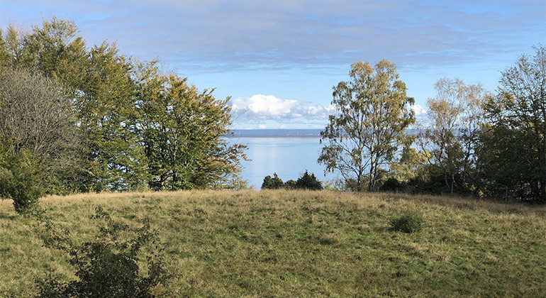 Utsikt Laholmsbukten.