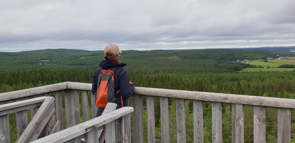 Utsikt från Selsknösen.