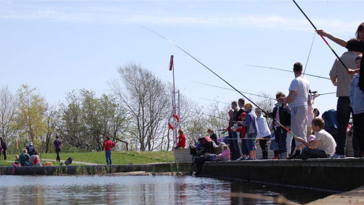 Gula kortet, Amhults damm