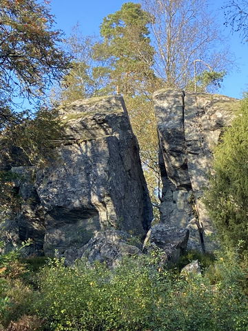 Vandringsled Luberydsmossen, Myrstigen mot Dammen