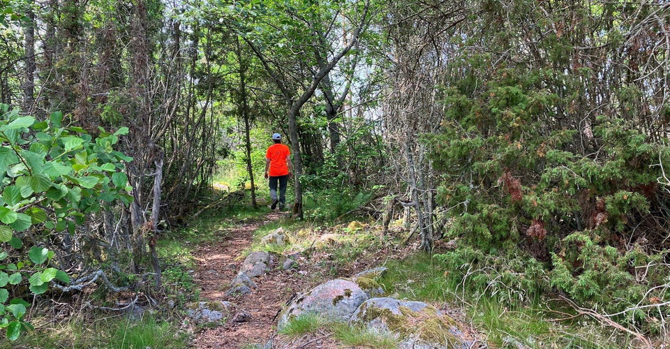 Skogsstig på Häradskär
Valdemarsvik