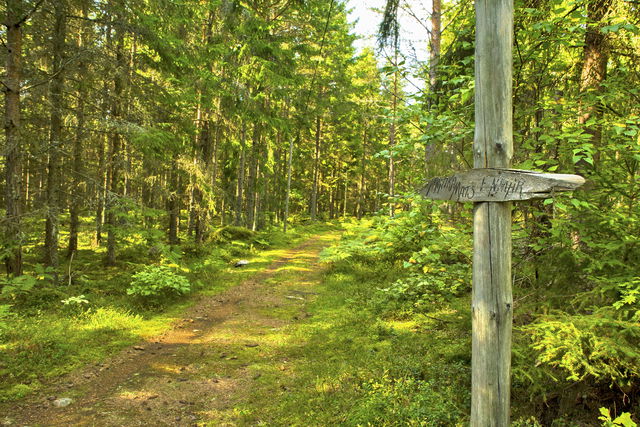 Stjärnorps elljusspår (2,0 km)