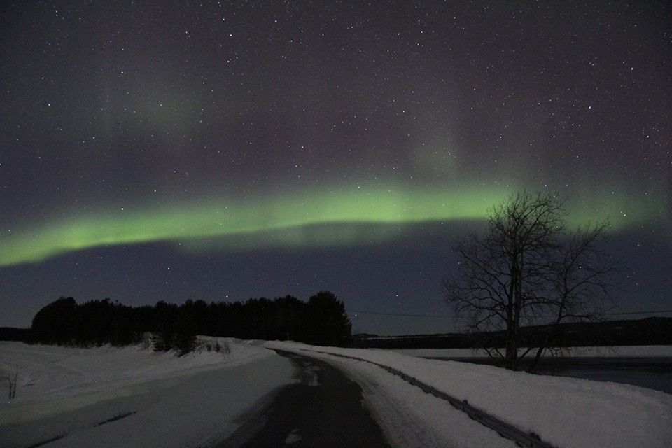 Foto: Madeleine Rinman