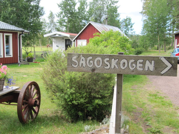 Sagostig i skogen