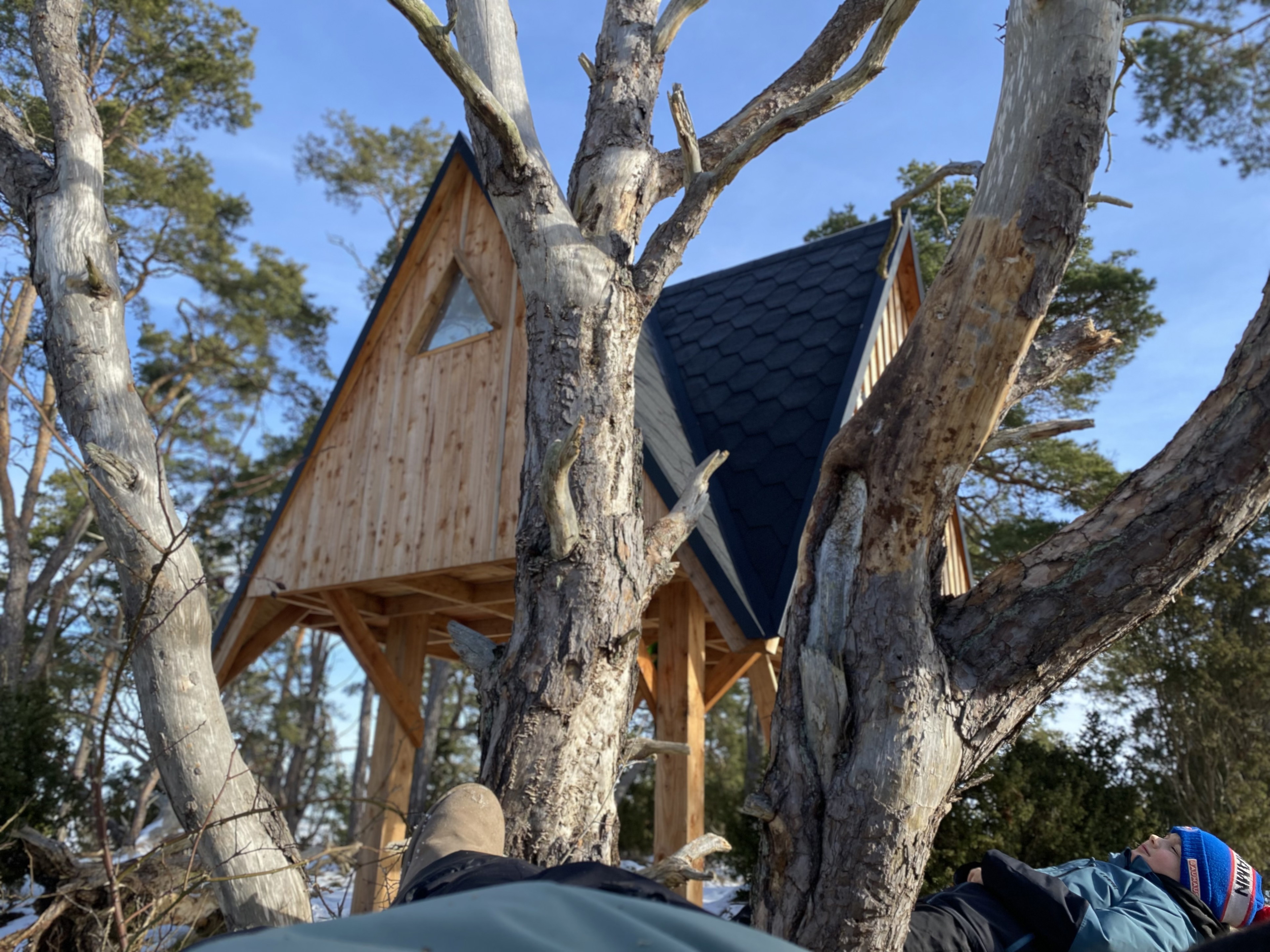 Vindskyddet sett snett underifrån