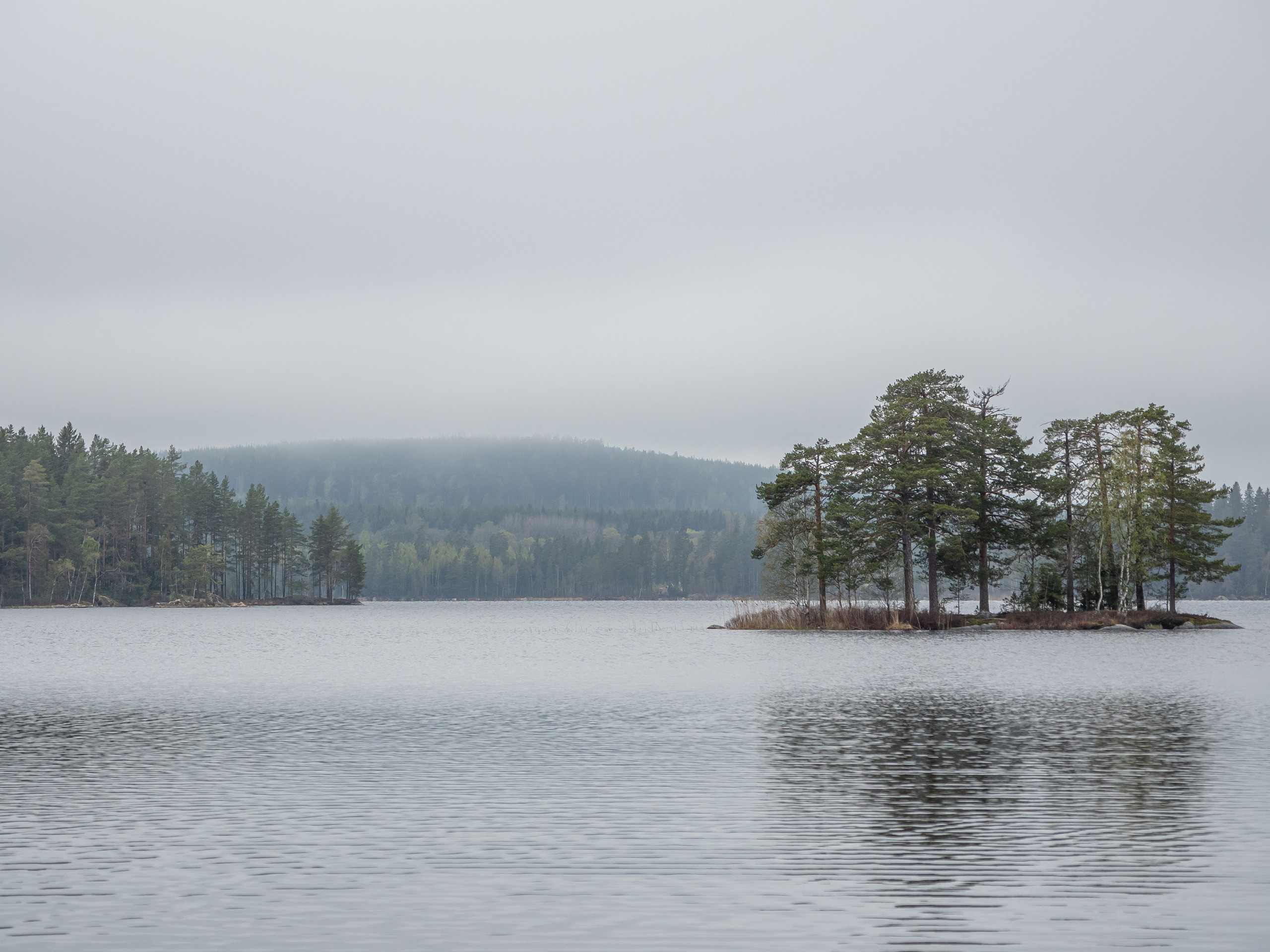 Sjön Gäsen, höst