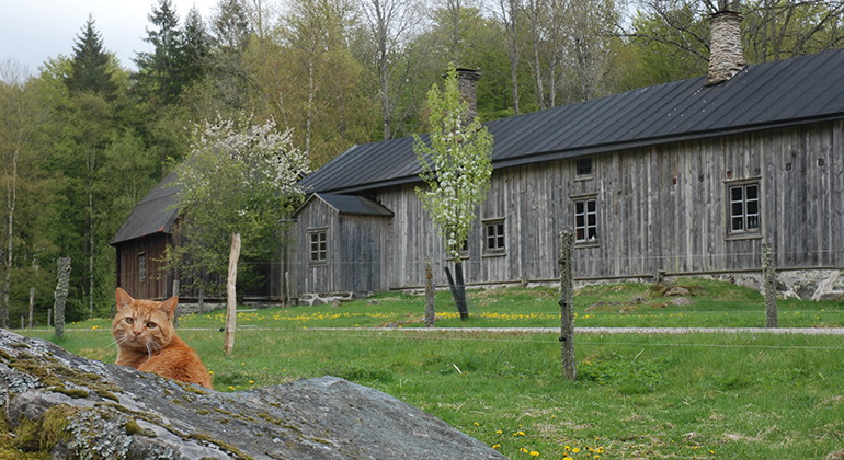Gården.