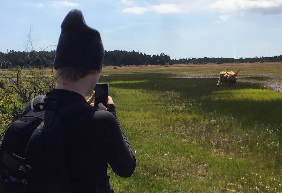 Ibland kan det vara fint att uppleva naturen genom kameralinsen. …