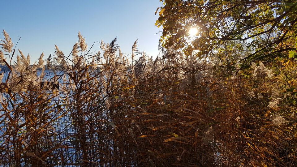 Vass vid Kappsta. Foto Lidingö stad