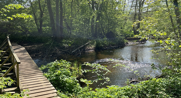 Vid Vantalängans rastplats.