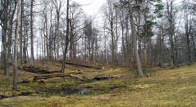 Härvesta ekhage, Naturreservat