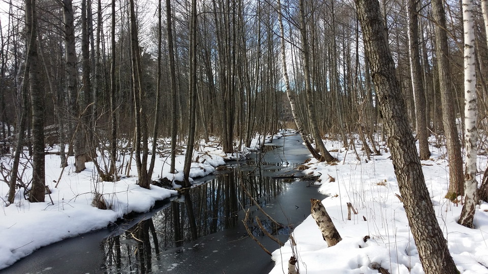 Kottlasjöns utlopp. Foto Lidingö stad