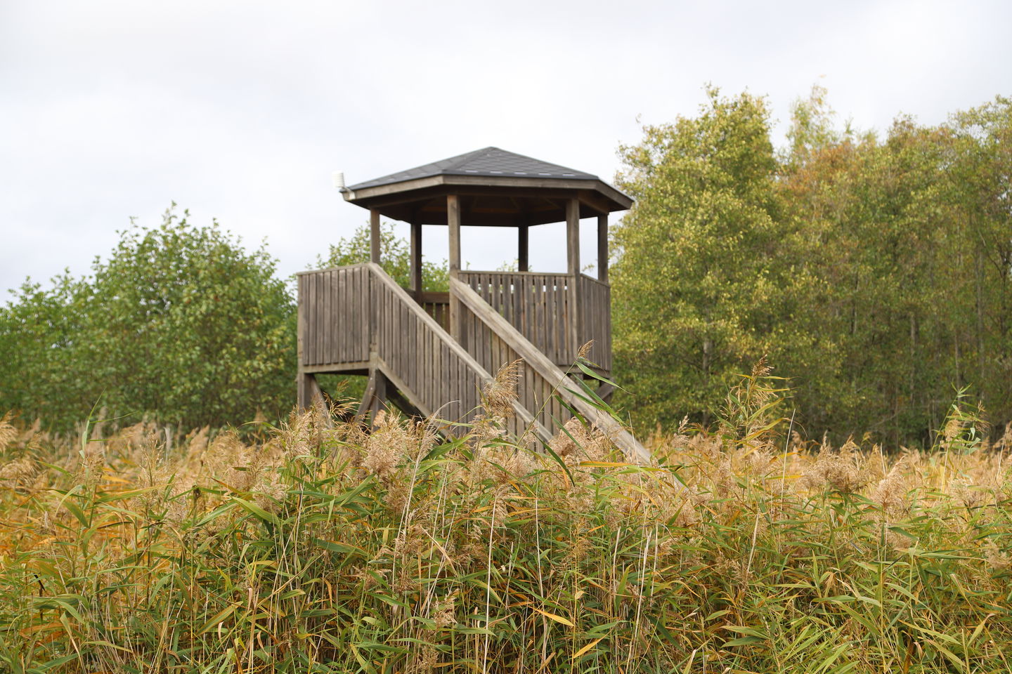 Fågeltorn