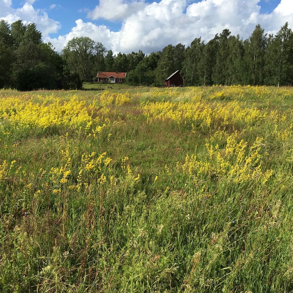 Fotograf: Ellen Flygare