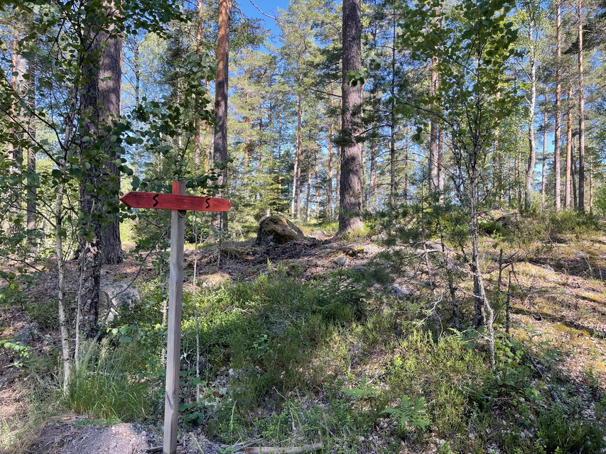 Bilden visar skyltning för Sörmlandsleden och grönska