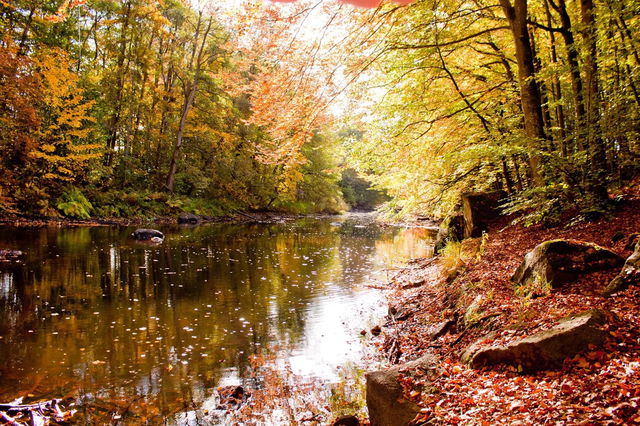 Besonders schön ist der "Glückspfad" im Frühling und Herbst.