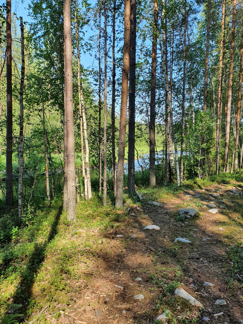 Del av stigen