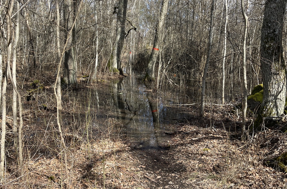 Del av stig som är översvämmad.