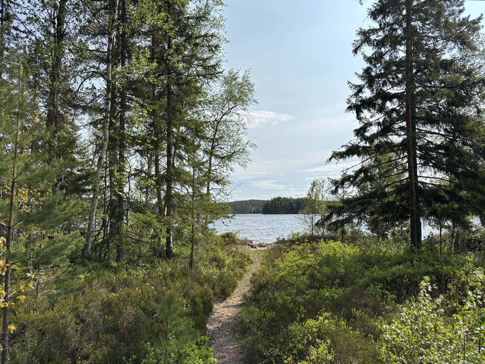 Kortare vandring till sjön Oppsveten