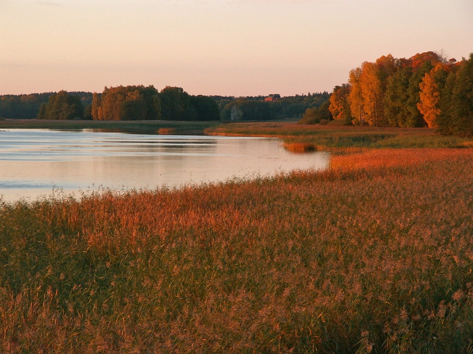 Fysingen i kvällssol.