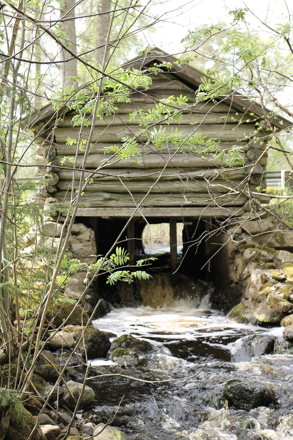 Foto: Josefine Gustafsson
