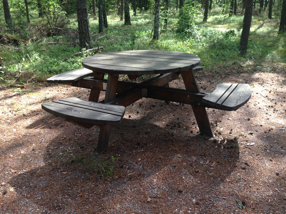 Ett bänkbord står i en skogsglänta.