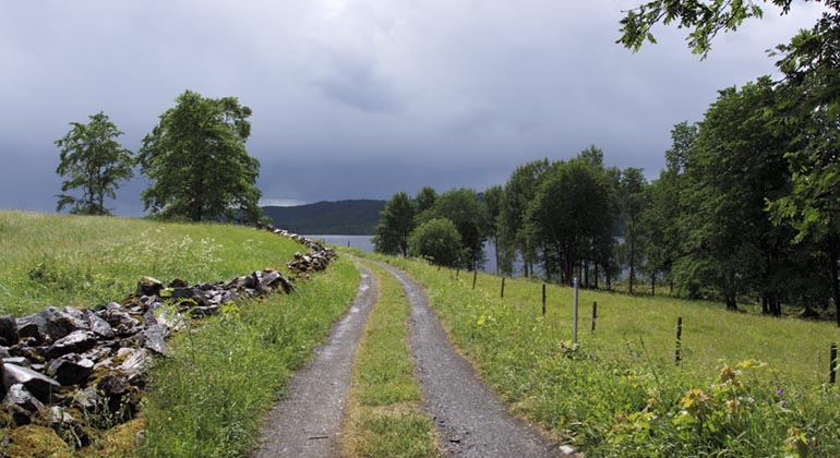 Björskogsnäs.