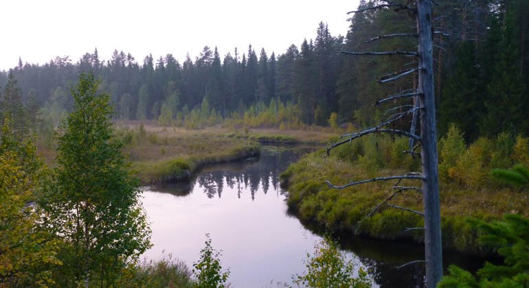 Hemlingsåns naturreservat.