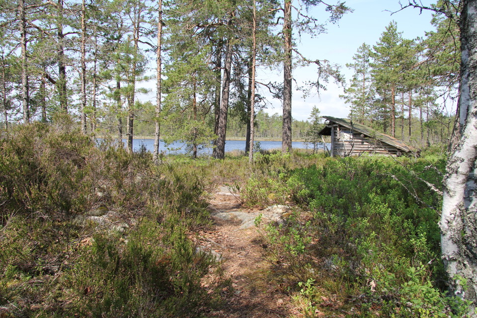 Vindskydd vid tjärnen.