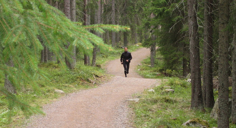 Inom området finns många stigar lämpliga för en joggingtur.