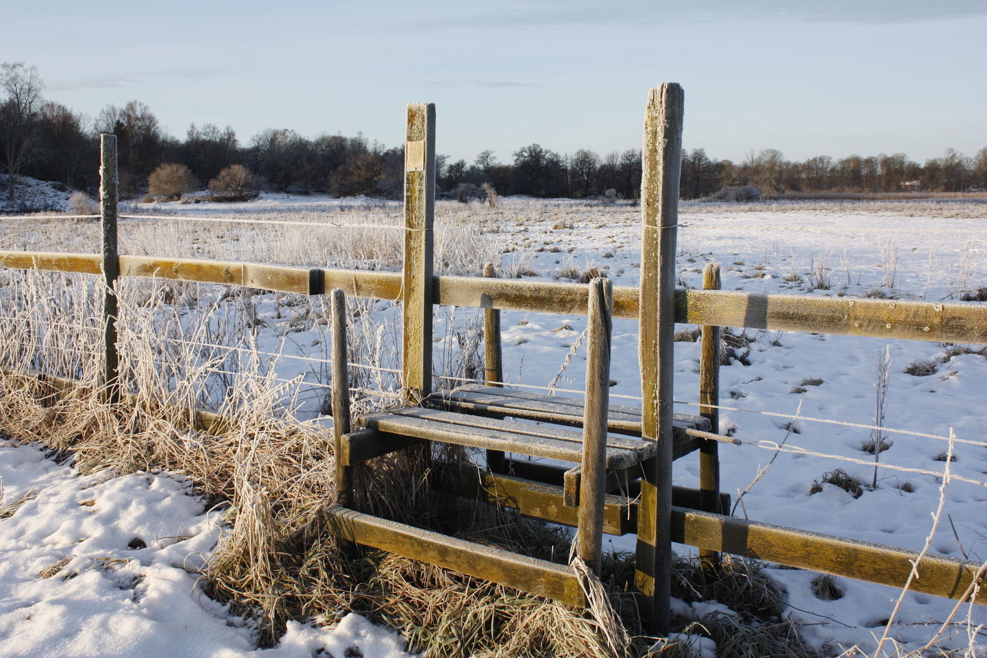 En stätta över ett staket mellan två hagar. Stättan har is på sig och det ligger snö på marken.