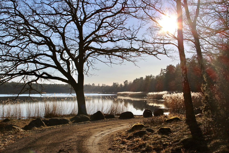 Väg längs kusten