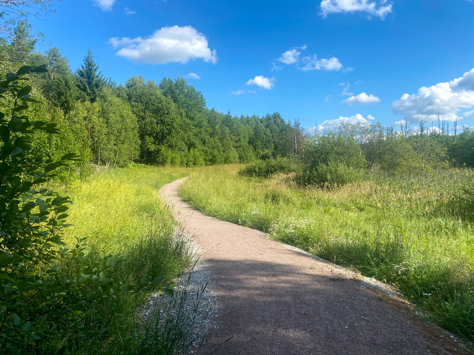 Bild: Adam Pawelec (Vallentuna kommun)