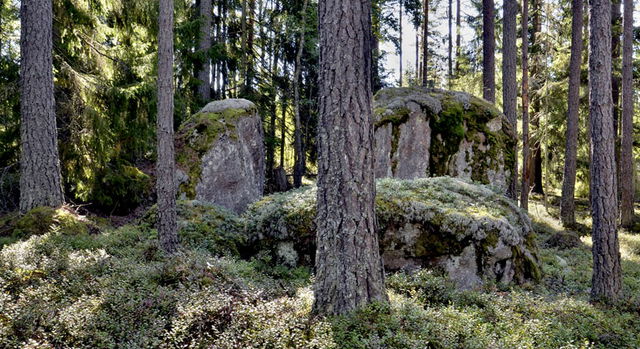 Stora Haddebo, Naturreservat