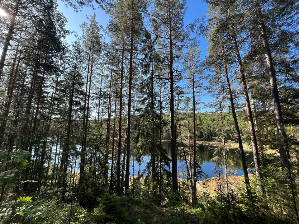 Vy över Svarttjärn