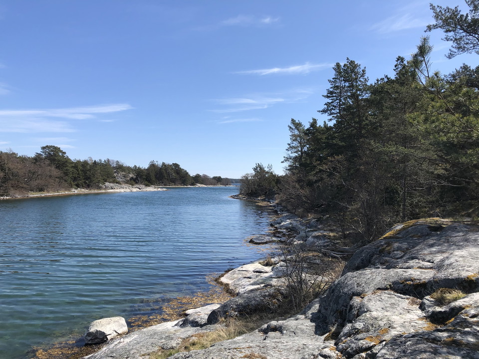 Revskär