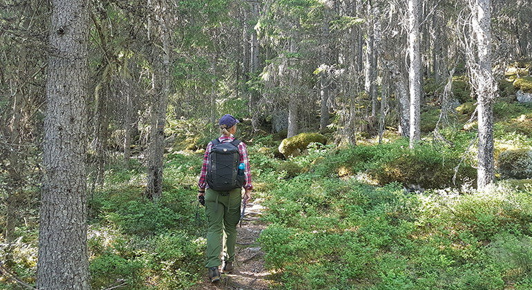 Stig i Våckelbergets reservat. Foto.