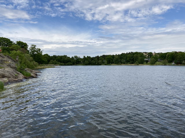 Drevviken