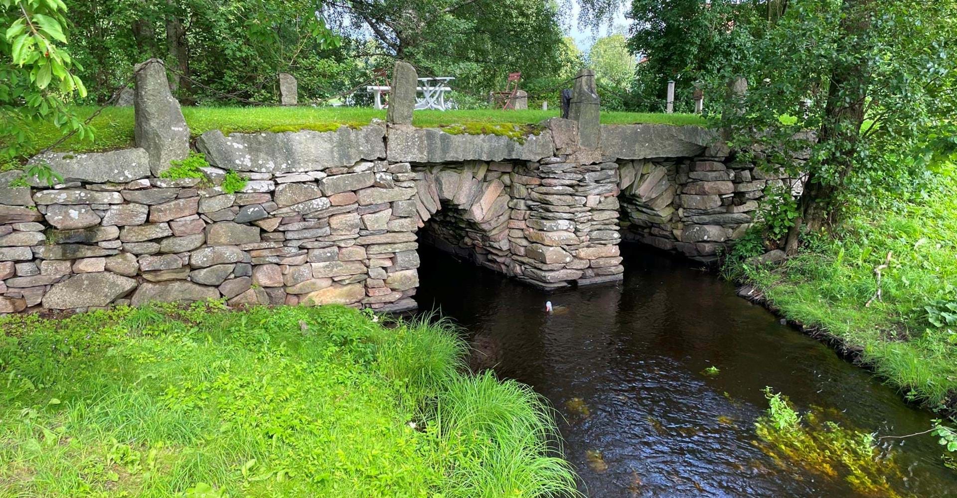 Svämb bromiljö