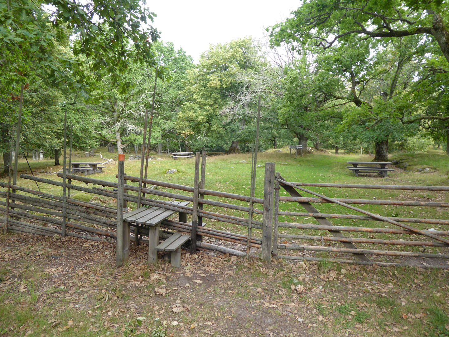Flera bänkbord finns i anslutning till parkeringen