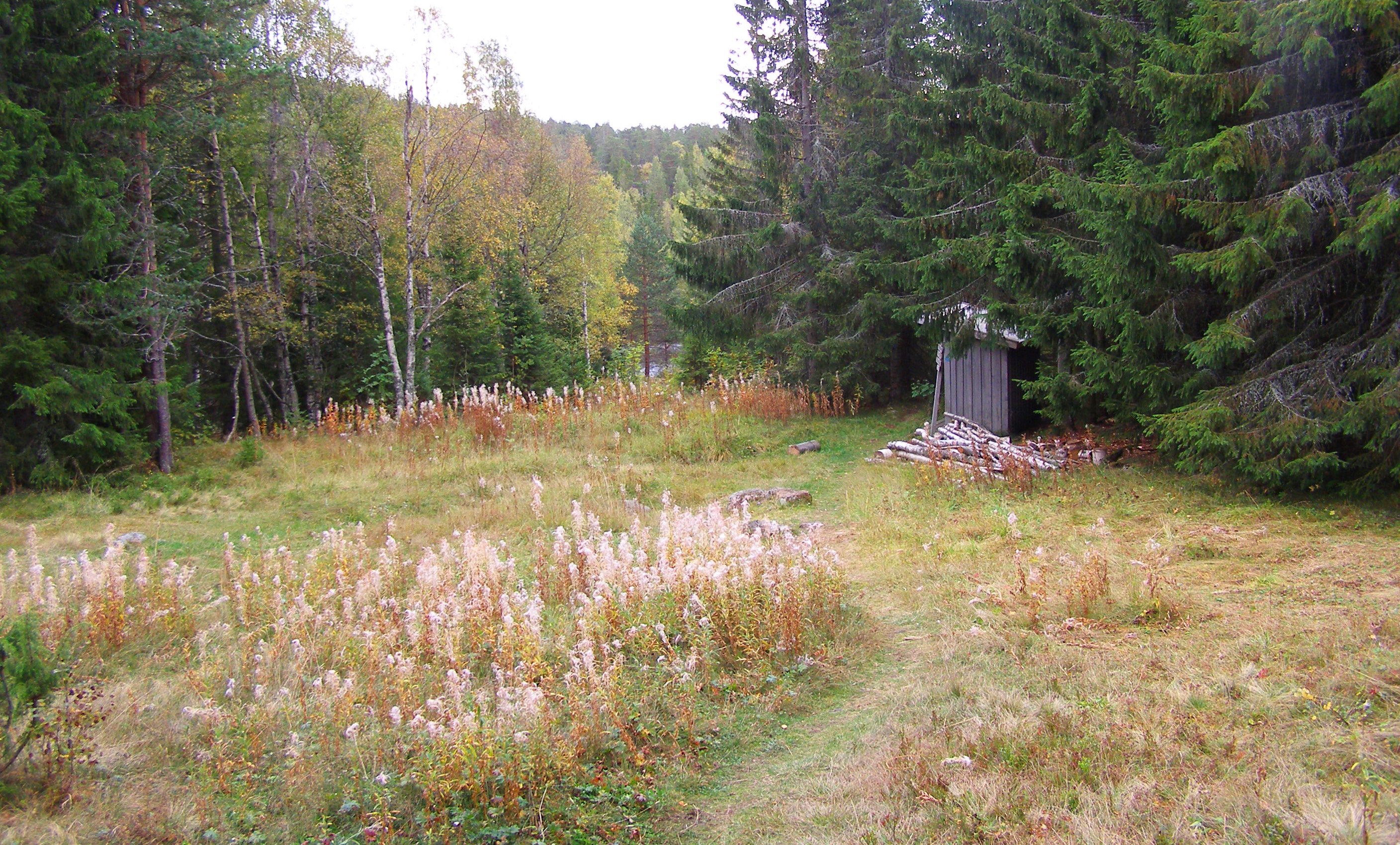 Tältplats Skrattabborrtjärn, Skuleskogen