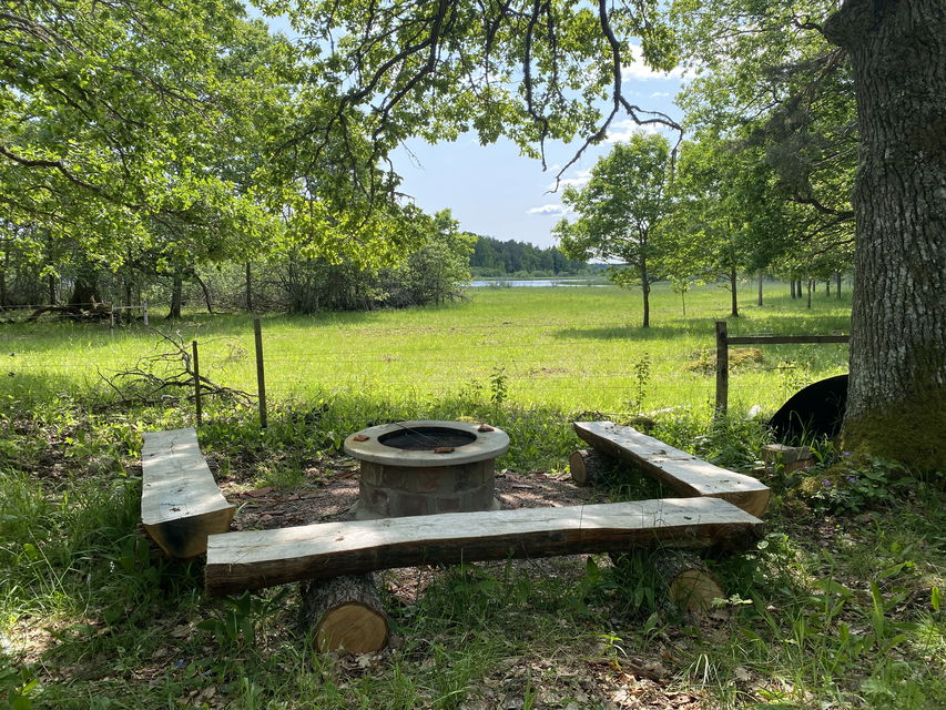 Grillplats med stockbänkar runt omkring