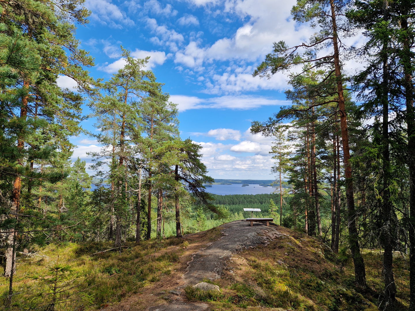 Stig som leder upp mot Utkiksplatsen på Landsberget.