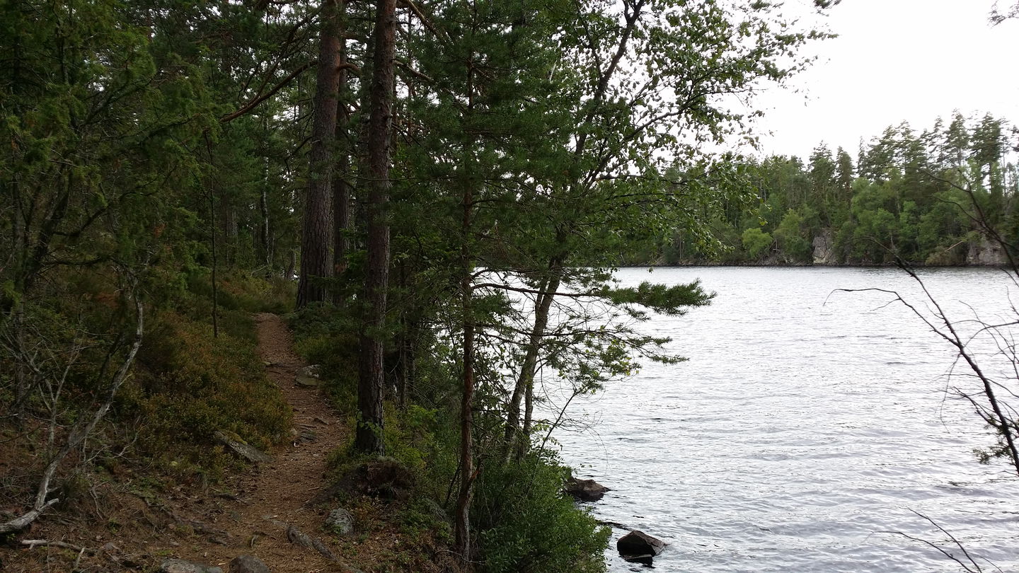 Stig runt Tomtsjön