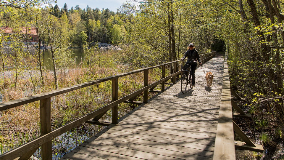 Cykling vid Kottlasjön. Foto Felix Oppenheim