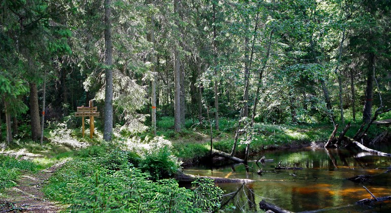 Lungälvsravinen.